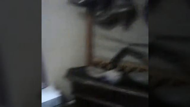 Поездка в МУЗЕЙ ШОКОЛАДА и НА ФАБРИКУ ПРЯНИКА смотреть онлайн