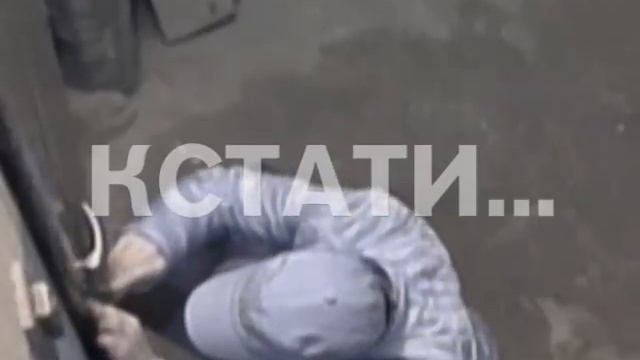 Элитные домушники, украв в фешенебельных квартирах 8 миллионов рублей проиграли свой улов смотреть онлайн