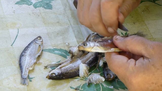 2015 05 11 жирные вяленые уклейки Omega-3 смотреть онлайн