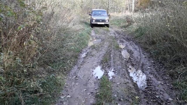 Нива на легком бездорожье смотреть онлайн