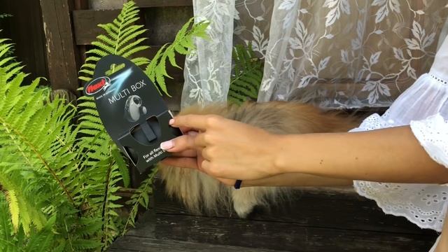 Гора ПОКУПОК для Собаки .Купила все, что Нужно!!! смотреть онлайн