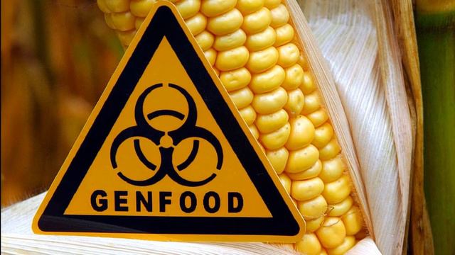 Чем опасны ГМО продукты? Научный взгляд.