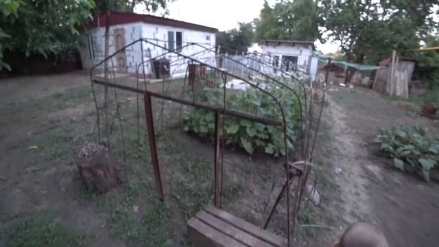 Завтра уезжаем в Геленджик! // Навестили бабулю и дедулю // Обзор огорода // Семейное фото смотреть онлайн