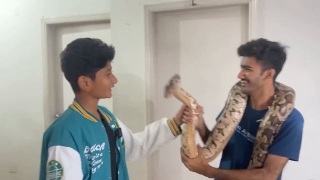 I Found a SNAKE in my Store Room! смотреть онлайн