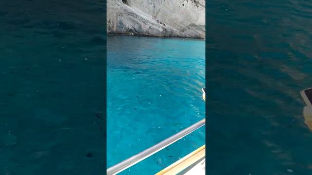 невероятное количество голубых рыбок на острове Zakynthos смотреть онлайн
