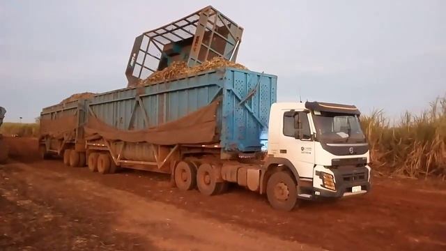 VOLVO FMX 540 CANAVIEIRO SAFRA2020 #VOLVOFMX540 #CANAVIERO SAFRA2020/2021 смотреть онлайн