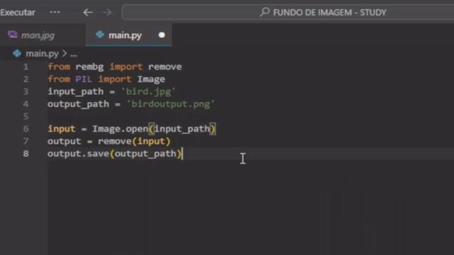 Como remover fundo de qualquer imagem com Python! (REMOVE BACKGROUND) смотреть онлайн