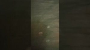 Сигналы воздушной тревоги звучат в Белгороде.