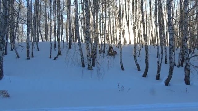 Снегоходы. Легкий бундокинг. смотреть онлайн