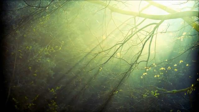Oliver Shanti - Water (1 hour) смотреть онлайн