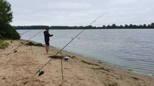 Ловля судака на донку/ На живца и хвосты с берега/Видеоотчет Август 2022