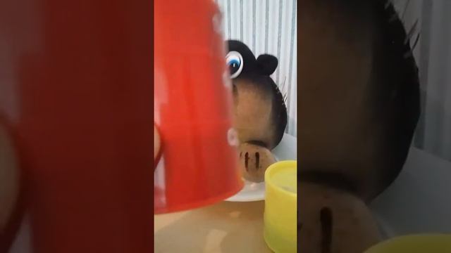 Почему надо закрывать лизуна смотреть онлайн