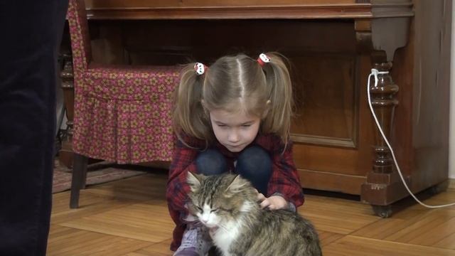 "Родословное древо Горячего Ключа" смотреть онлайн