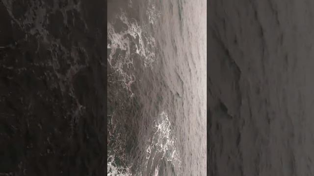 Морская охрана ( БДК ОРСК) смотреть онлайн