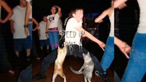 Кузнецкий Сквад - Клубника | speed up/nightcore