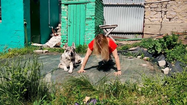 Отжимания с прыжками смотреть онлайн