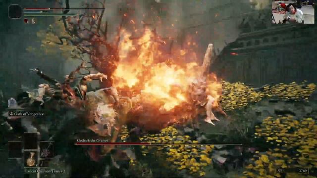 Elden Ring:Godrick VS The Knight With No Pants Elden Ring смотреть онлайн