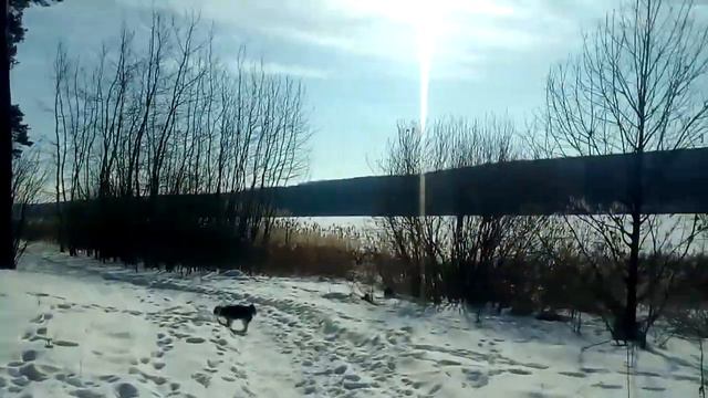 Северский Донец зимой смотреть онлайн