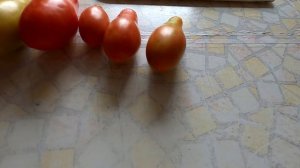 Сорт помидоров СИБИРСКИЙ ПИРУЭТ, описание, опыт выращивания.