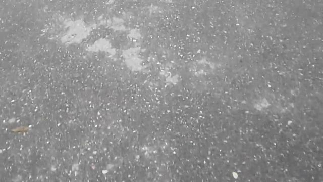 Пол это лава