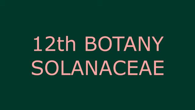 Explanation About Solanaceae – The Potato Family PART 1 | Botany (Tamil)