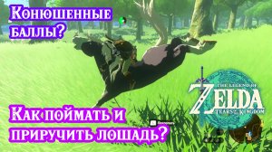 Как поймать и приручить лошадь? Новые особенности Конюшни. The Legend of Zelda: Tears of the Kingdom