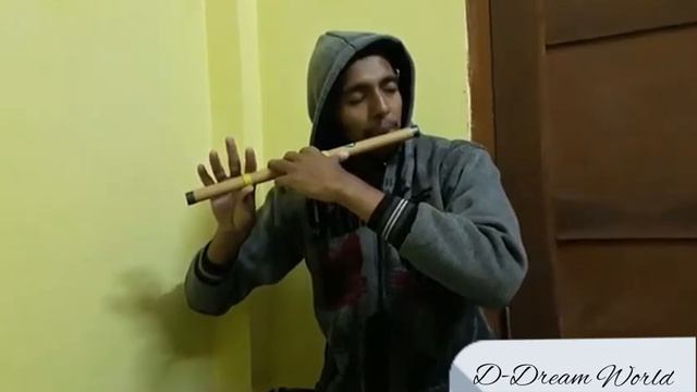 "Titanic Movie theme song"on flute Played By me Debu смотреть онлайн