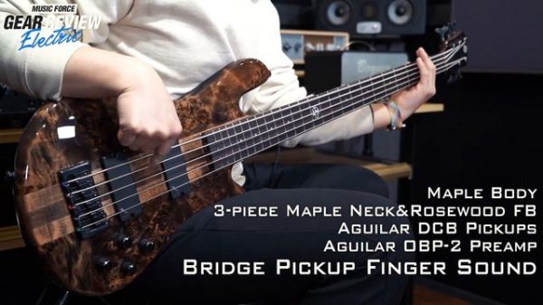 Spector NS Series Ethos VS Dimension Bass Review (No Talking)