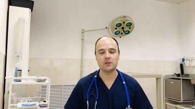 Почему у кошки сухой нос - она заболела? смотреть онлайн