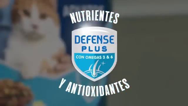 Purina® Cat Chow® con Defense Plus смотреть онлайн