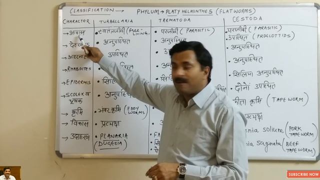 Phylum Platyhelminthes (Non-Chordata) Animal Classification Class 11th Hindi смотреть онлайн