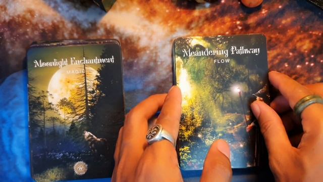 ?Unboxing? รีวิวไพ่ The Sacred forest oracle พลังศักดิ์สิทธิ์จากธรรมชาติ#รีวิวไพ่ #oracledeck смотреть онлайн