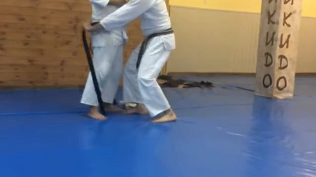 Айкидо. Чёрный пояс смотреть онлайн