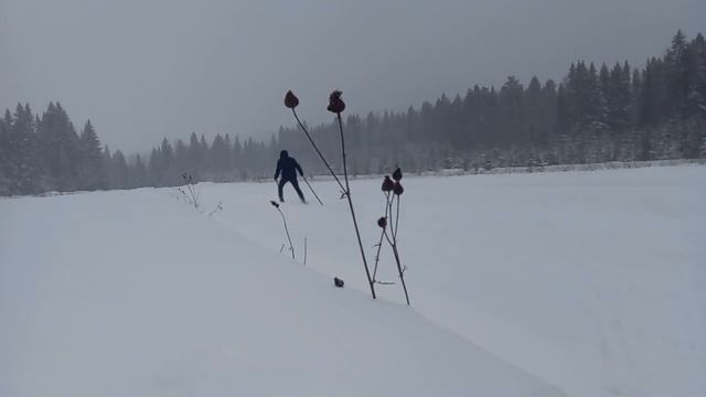 Тренировка будущего чемпиона конькового хода Серега с Екатеринбурга смотреть онлайн
