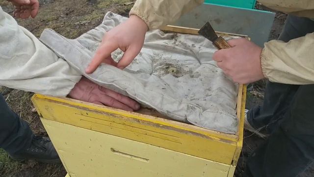 Весна!!! Беглый осмотр пчелосемей и замена доньев. 21.02. 20 смотреть онлайн