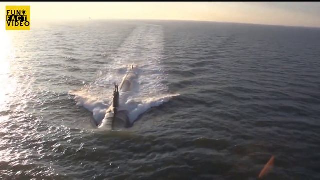 Undersea Warriors: Amazing Facts About U.S.Navy Submarines смотреть онлайн