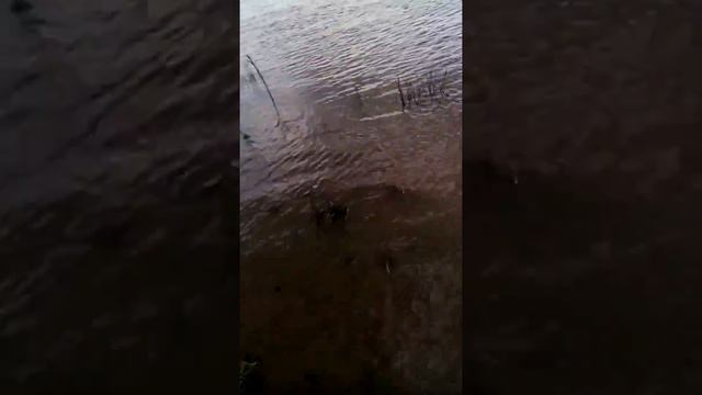 Рыбалка в Астрахани 06 07 19 смотреть онлайн
