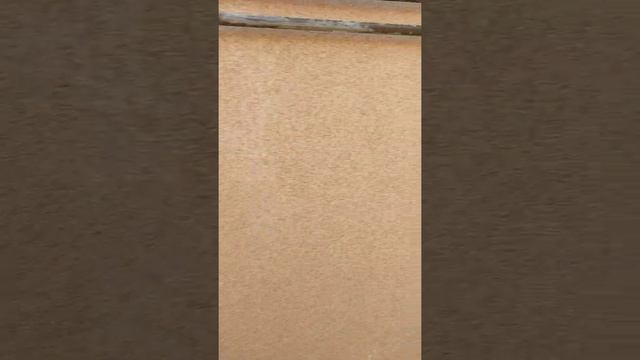 Мраморный штукатурка с Боларс Декоративная Ш смотреть онлайн