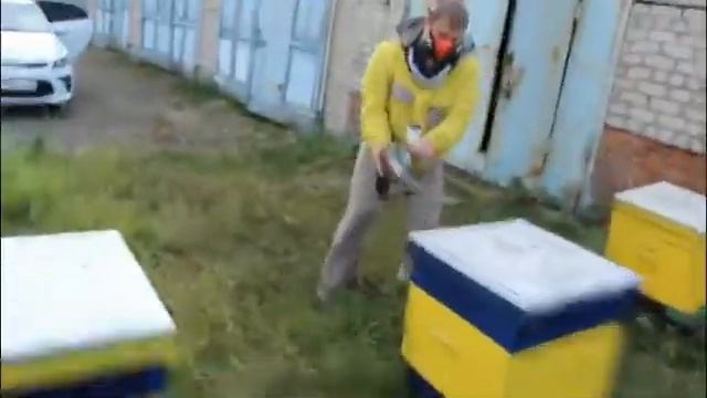 Пчеловодство.Обработка пчел дым пушкой смотреть онлайн