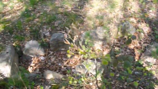 Melby Hellekiste смотреть онлайн