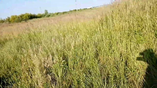 Курганы . Бронзовый век. смотреть онлайн