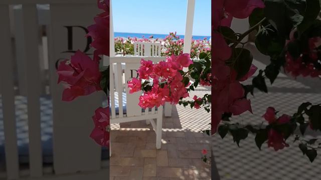 Люблю живые цветы. смотреть онлайн