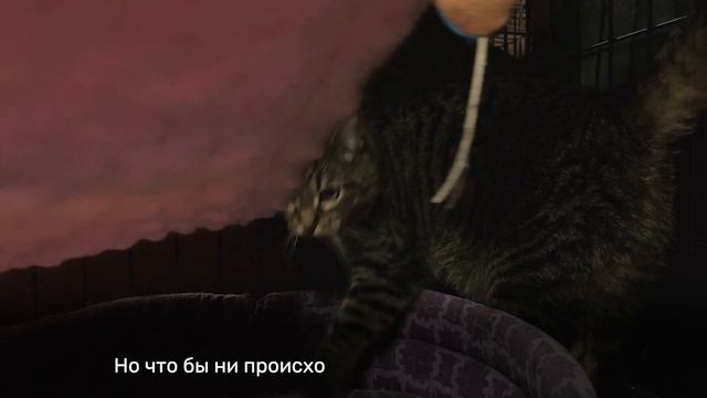 ЛУАНА смотреть онлайн