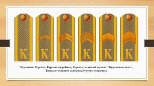 Знаки различия армии Российской Федерации