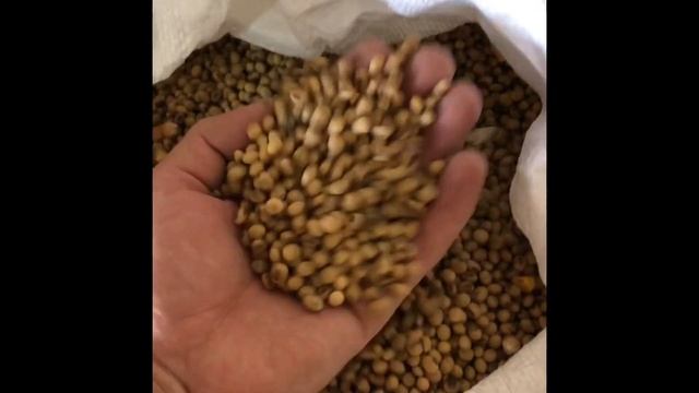 Самодельная веялка. Веялка для зерна. смотреть онлайн