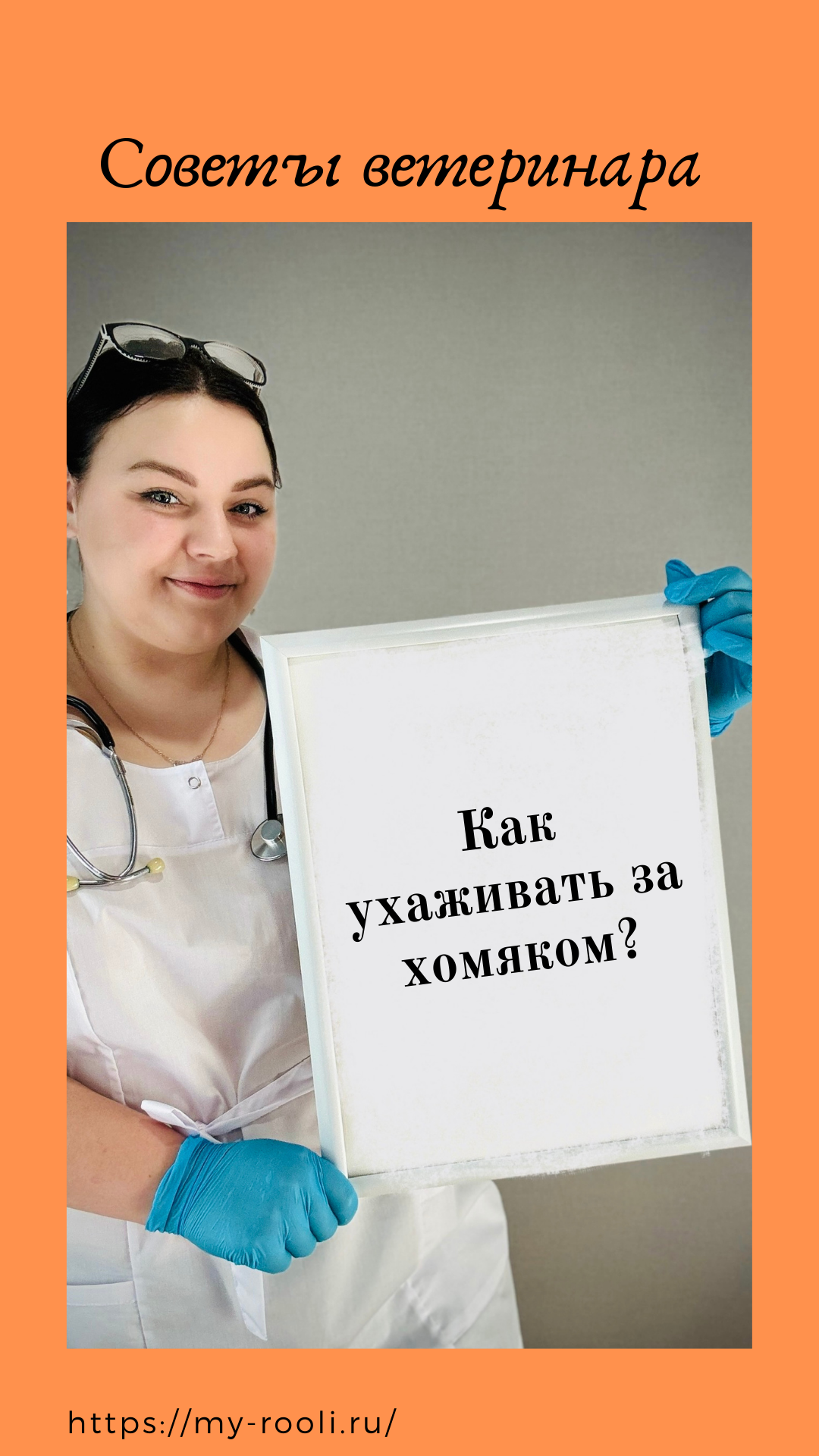 Как ухаживать за хомячками? ROOLI - ваш надежный помощник в уходе за хомяками. смотреть онлайн