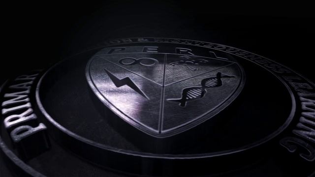 PERL EDUCATION смотреть онлайн