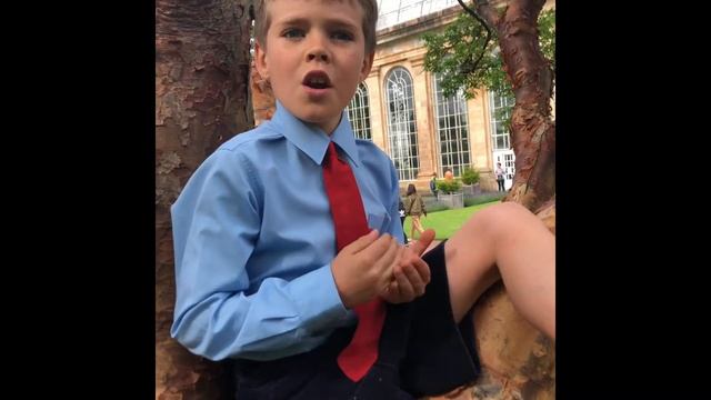 Раздел Ботаника- Аморфофаллус смотреть онлайн