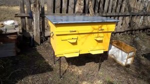 КАК ИЗБАВИТЬСЯ ОТ МУРАВЬЕВ В УЛЬЯХ 100%?!!(29.03.2017).Хроника пасеки.