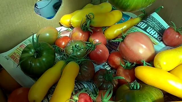 Первая часть. Подробный рецепт приготовления пасты и томатного сока. смотреть онлайн